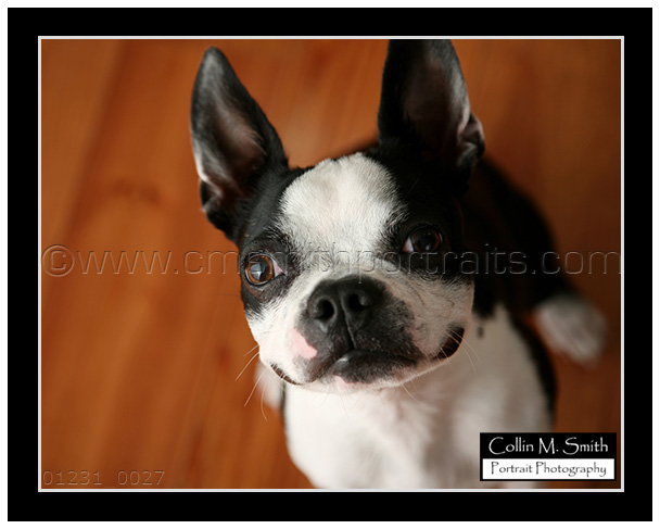 01231fb-027 01231fb-027